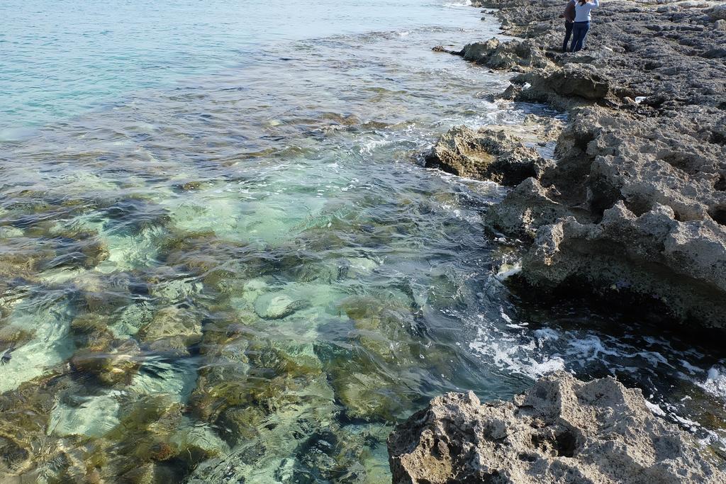 Apartmán Oasi San Pio Porto Cesareo Exteriér fotografie
