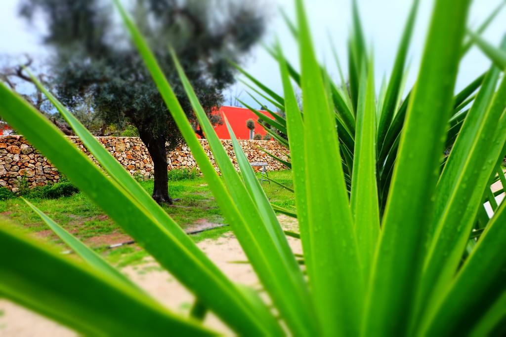 Apartmán Oasi San Pio Porto Cesareo Exteriér fotografie