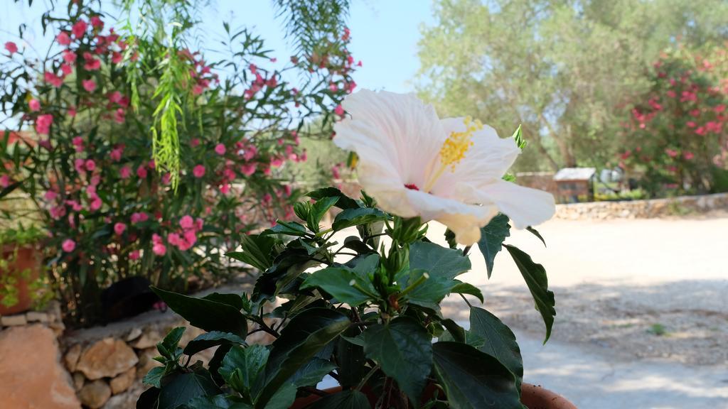 Apartmán Oasi San Pio Porto Cesareo Exteriér fotografie