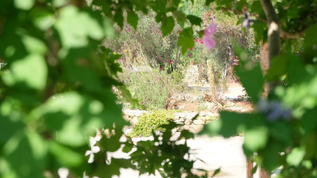 Apartmán Oasi San Pio Porto Cesareo Exteriér fotografie