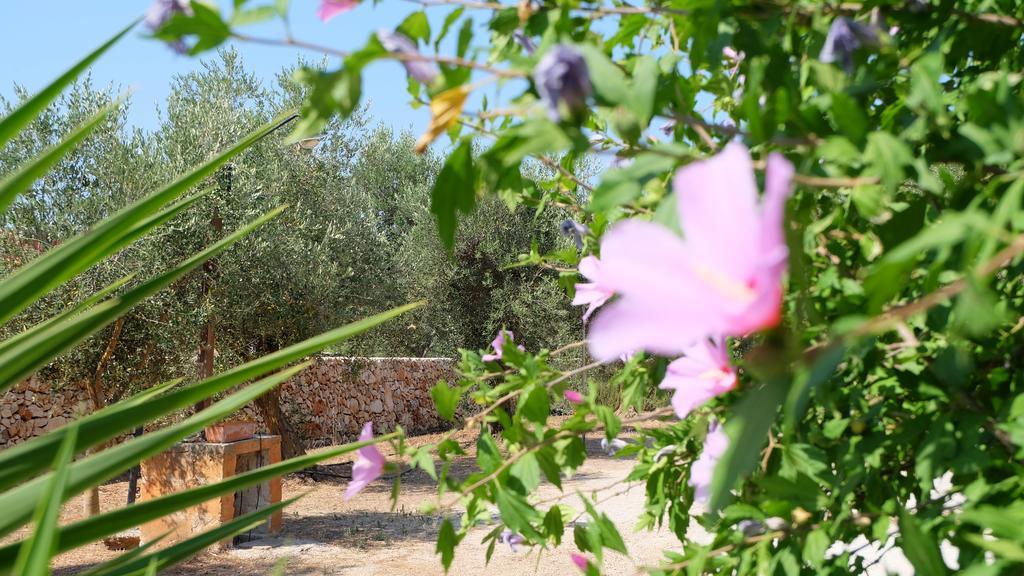 Apartmán Oasi San Pio Porto Cesareo Exteriér fotografie