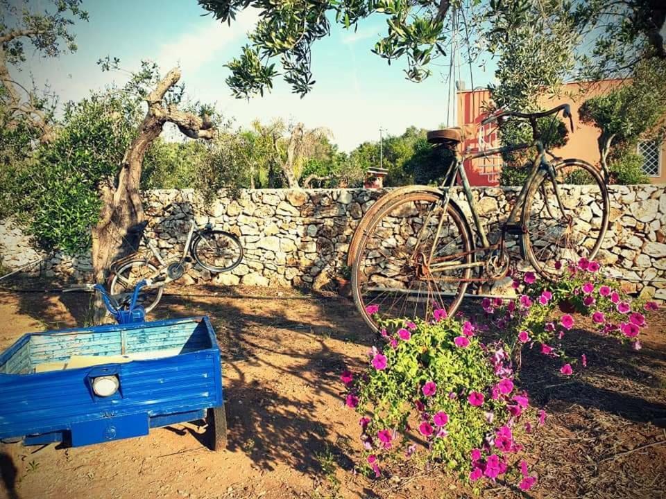 Apartmán Oasi San Pio Porto Cesareo Exteriér fotografie