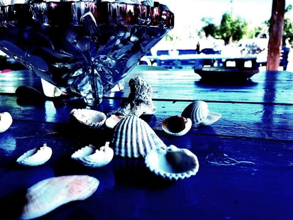 Apartmán Oasi San Pio Porto Cesareo Exteriér fotografie
